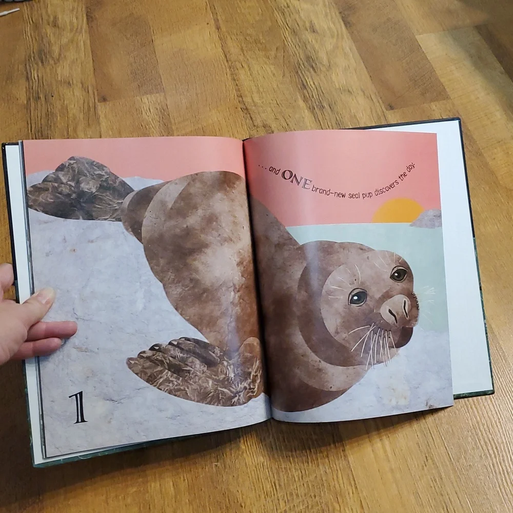One Nighttime Sea Book‎ by Deborah Lee Rose Hardcover Counting Book